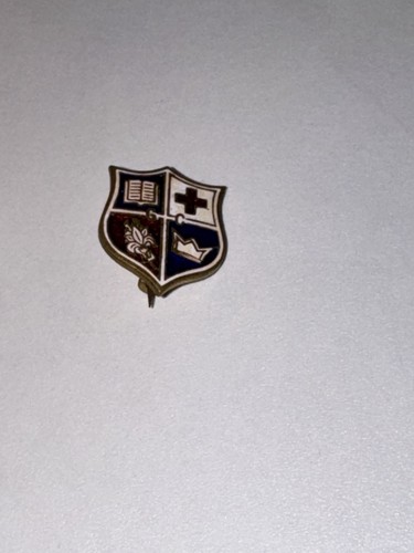 Vintage enamel school nurse - vintage,