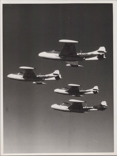 Havilland sea venom - havilland,