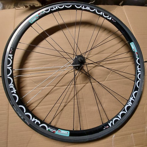 Bianchi reparto corse front - ,