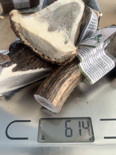 Highland antler 100 natural - antler,