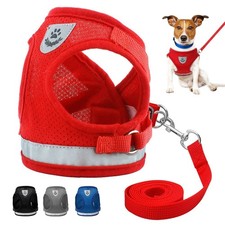 Small Dog Harness Leads Kit