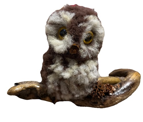 Faux taxidermy baby owl - baby,