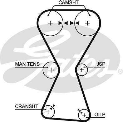 Gates 5255xs timing belt - timing, for