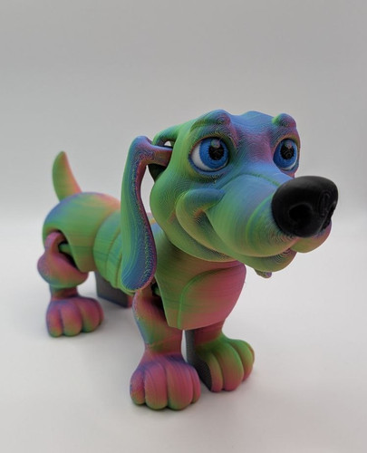 Printed dachshund dog - 3d,