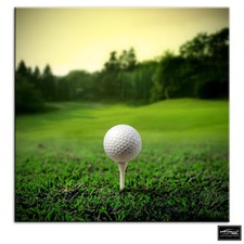 Golf Ball on Tee   Sports BOX