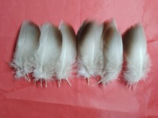 20 Mallard Bronze Hackle Feathers 4.5" / 11cm - Fly Fishing