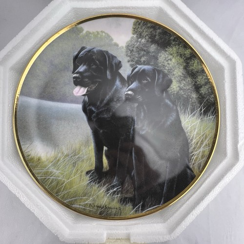 Sporting companions franklin - sporting,