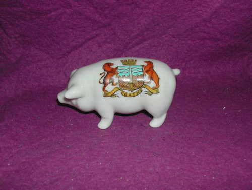 Grafton crested china pig - grafton,