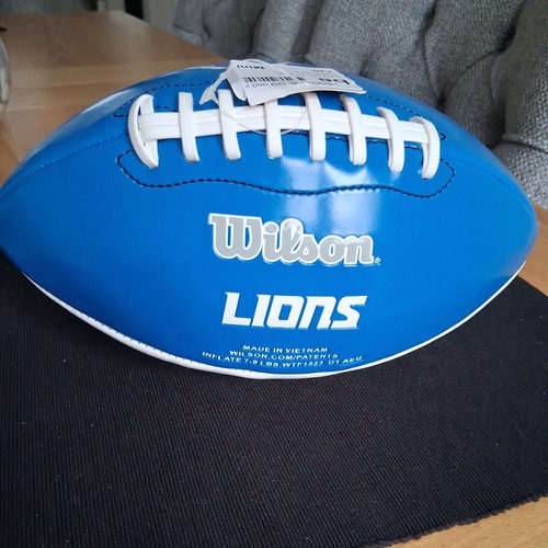 Brand new mini detroit - new, lions