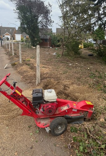 Fsi b20 stump - b20, grinder