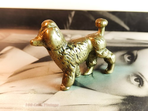 Small brass poodle dog - brass,