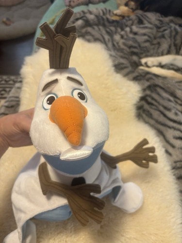 Disney parks frozen - disney,
