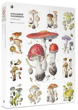 Pomegranate Mushrooms by