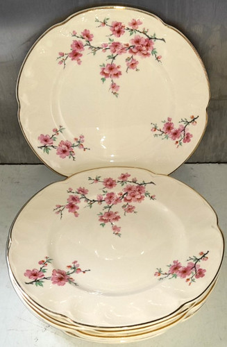 Johnson bros pareek - 6,