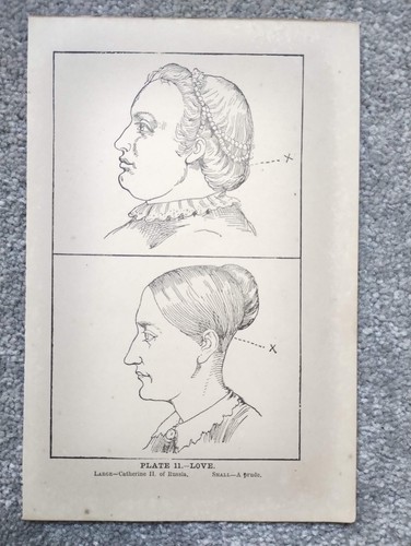 Love phrenology antique - -,