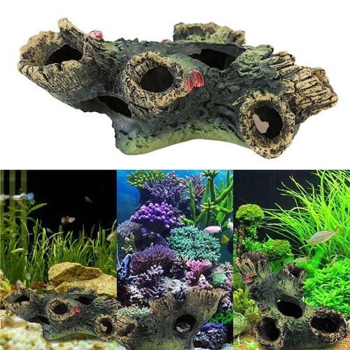 Aquarium fish tank - fish,