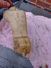 NVT Tracker Oil Tank BSA