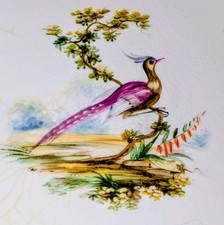 Beautifully Hand painted
