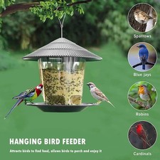 Wild Bird Feeder Hanging Suet