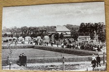 Postcard - Palmer Park