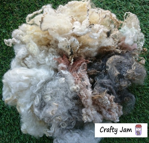 Bargain 2nds mixed breed - bargain,
