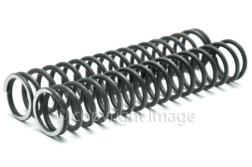 Fork springs triumph - fork, springs,