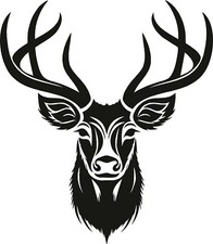 Stags Head Car, Motorhome Van