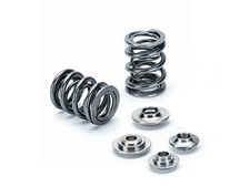 Valve dual spring kit