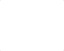 Bukh injection line DV20/1st