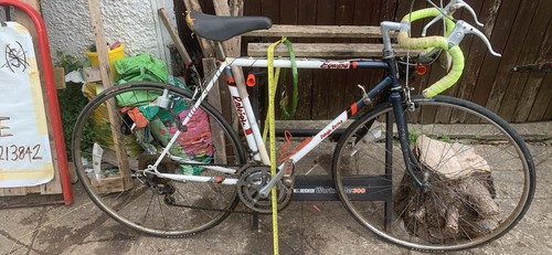 Raleigh equipe classic - equipe,