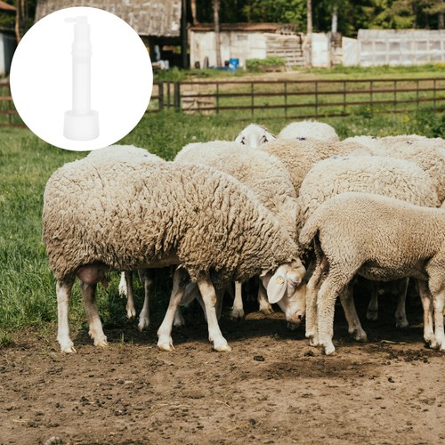 Milking machine part livestock - milking,