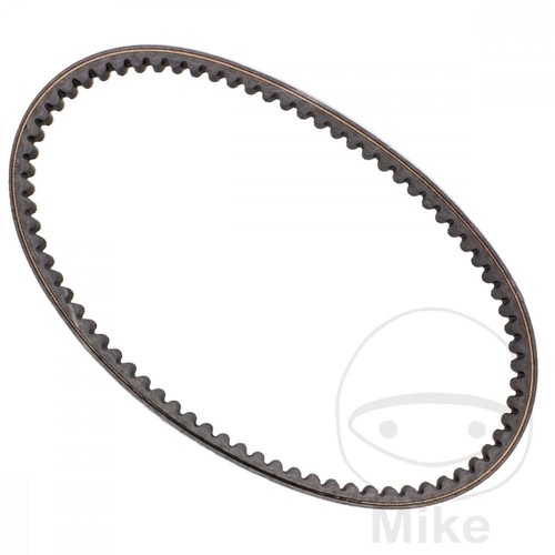Transmission belt 1x813 - belt, 19.1x813