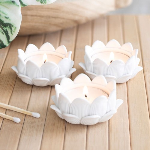 Set white lotus - lotus, flower