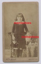 CDV Cat Taxidermy Stuffed Brighton Sussex c1890 Spink