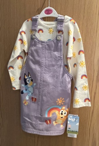 Bluey dress and shirt - and, age