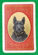 Playing Cards 1 Single Card