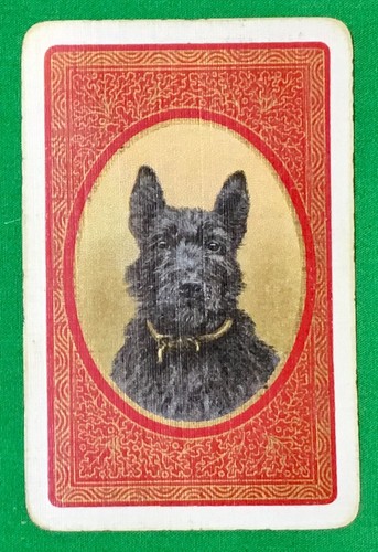 Playing cards single card - cards,
