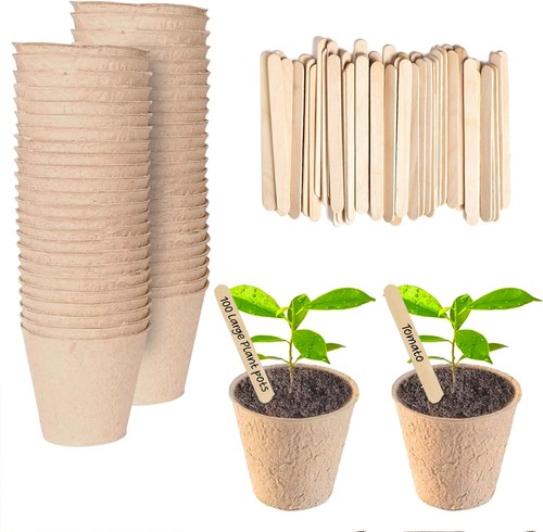 8cm biodegradable seedling - 8cm,