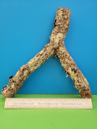Cork bark branch - cork,