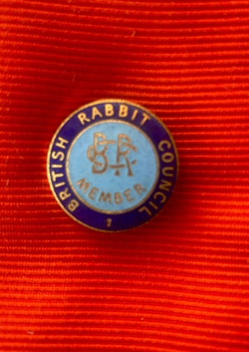 Vintage british rabbit council - british,