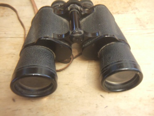 Regent gold star 10x50 coated - regent,