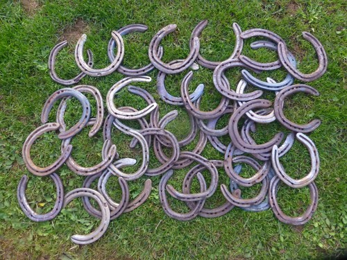 Lucky horseshoe used - horseshoe, horse