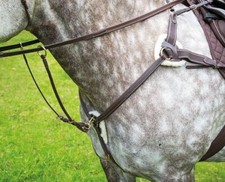 Shires Salisbury Leather 5