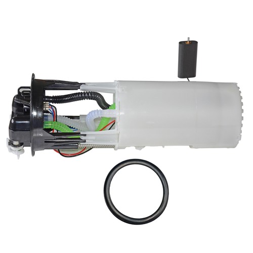 Fuel pump assembly for - fuel,