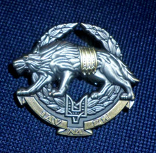 UKRAINIAN SPECIAL OPERATIONS
