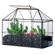 NCYP Glass Terrarium Planter