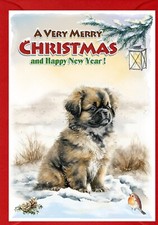 Tibetan Spaniel Dog A6 (4" x