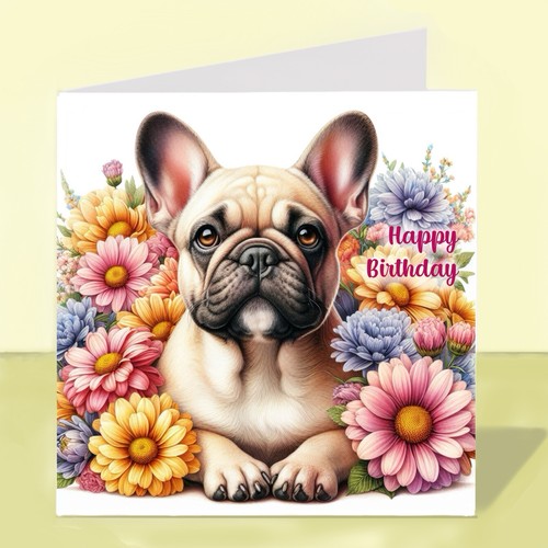 French bulldog dog - dog, birthday