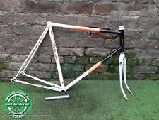 Retro Raleigh Pro Race Reynolds 501 frameset for re-build