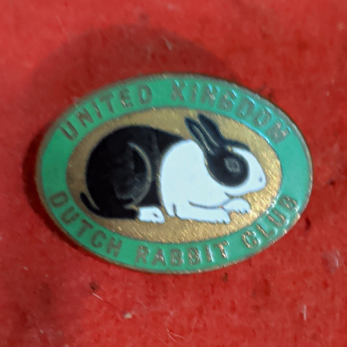 United stand dutch rabbit - united,